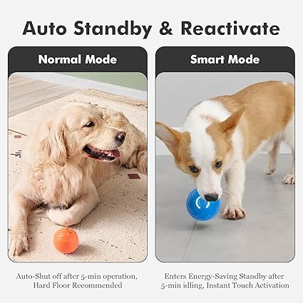 Interactive Dog Ball Toy