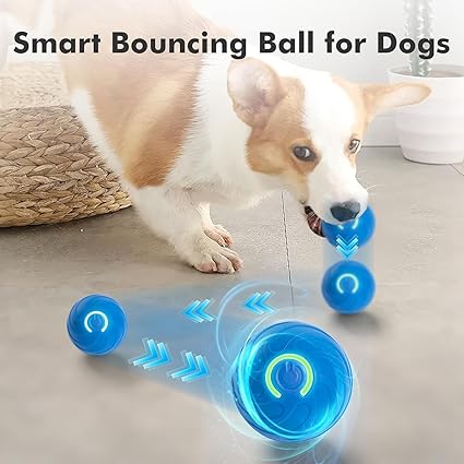 Interactive Dog Ball Toy
