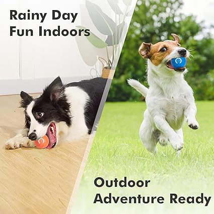 Interactive Dog Ball Toy